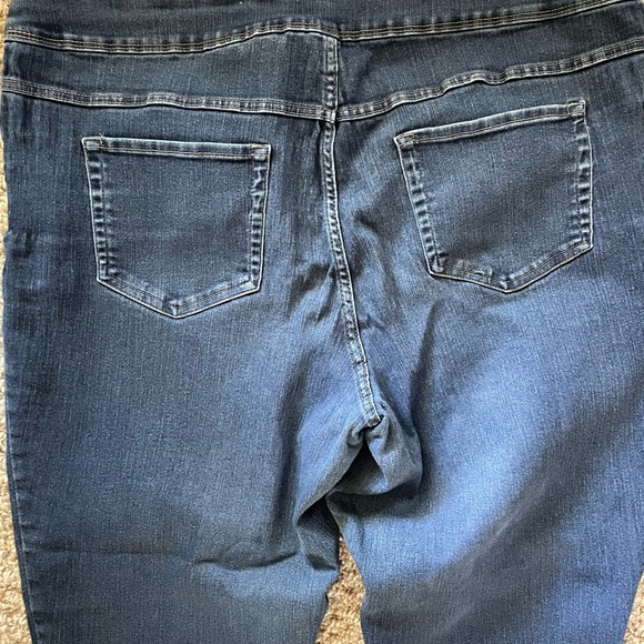 Woman’s Terra & sky elastic waist sz 2x jeans - Picture 2 of 5